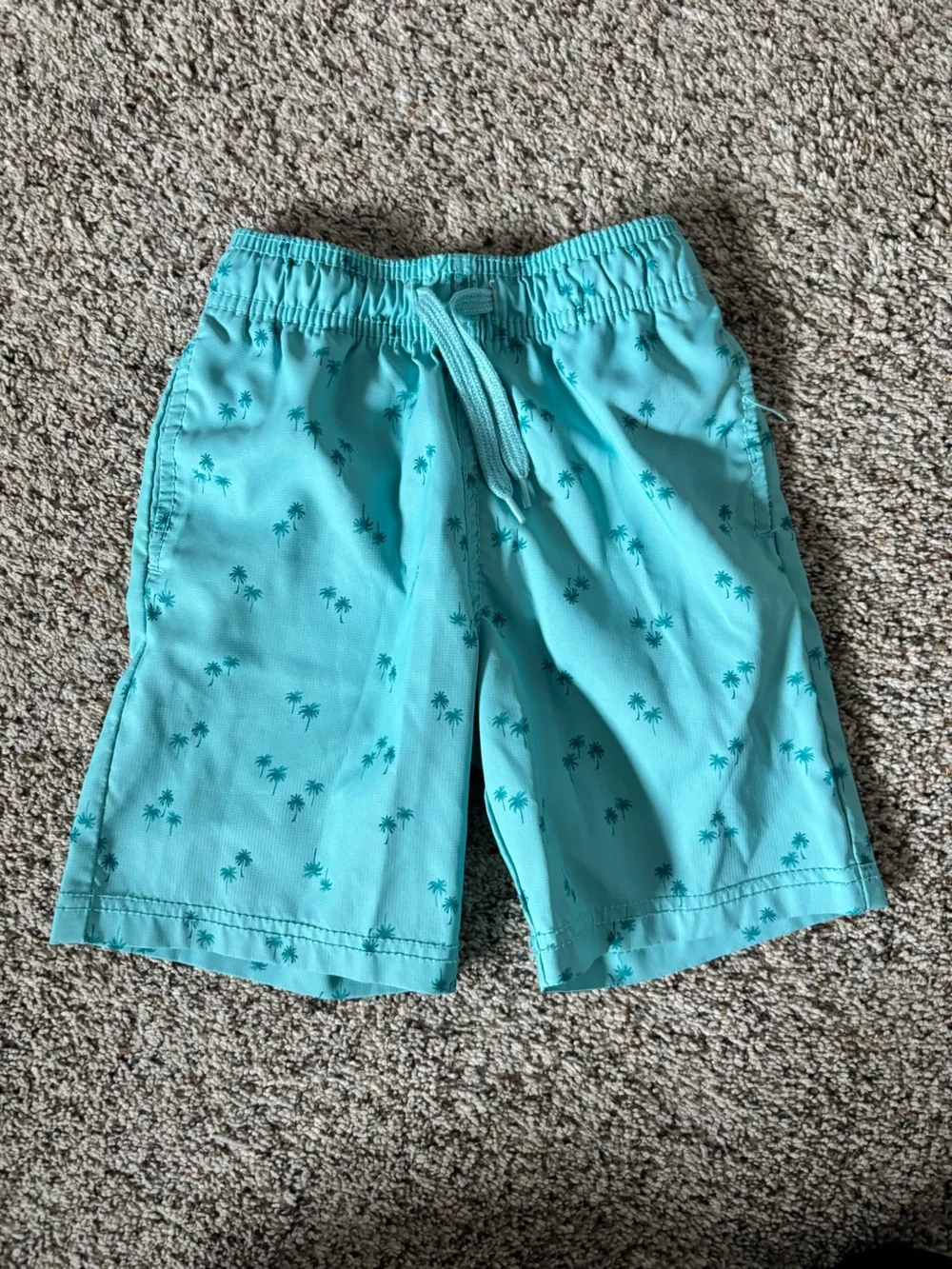 Oshkosh Swim Trunks